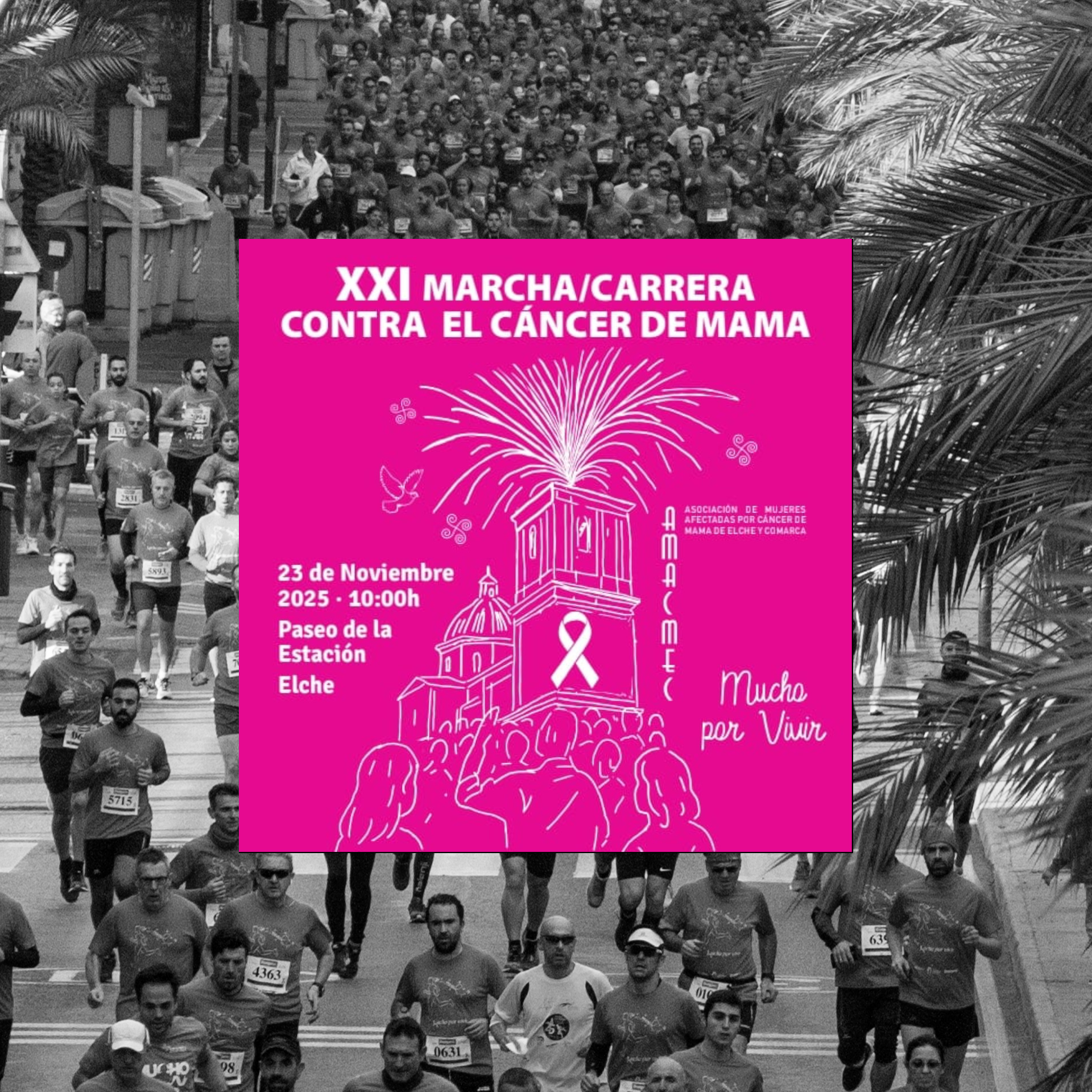 Imagen de la carrera